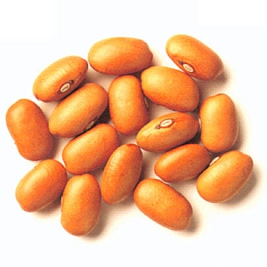 Nieuwe oogst peulvruchten binnen! Grauwe, groene en spliterwten, bruine, witte en citroenbonen!