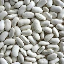 Witte bonen (ras krombekken) is een streekproduct uit  de Kop van Noord-Holland!