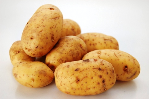 Agrarische Open Dag Familie Lanser te Valkkoog 13 juni 2015