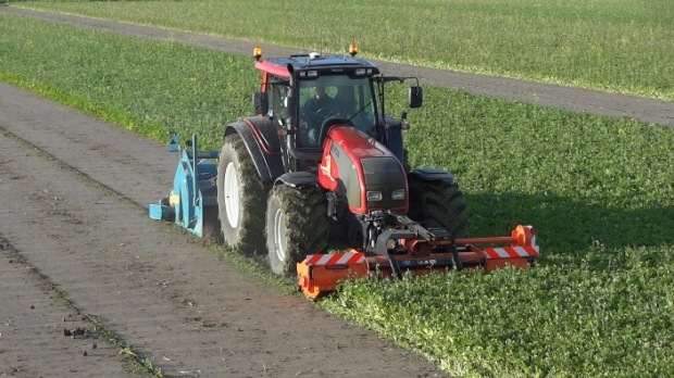 GLB-beleid, groenbemesterskeuze, biofumigatie en grasgroenbemesters