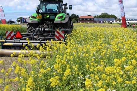 Limagrain foto groenbemester vergroening