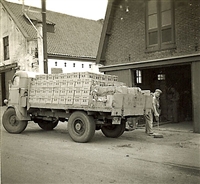 1955 Leger dumpvrachtwagen met lijnkoeken