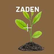 Zaden